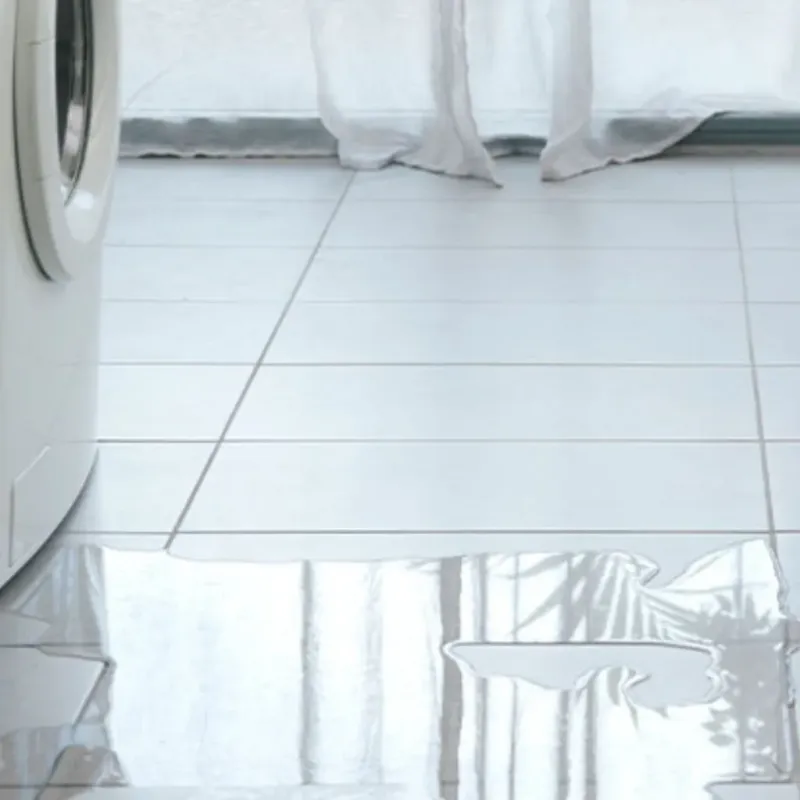 Appliance Leak Cleanup in Washington Park, FL