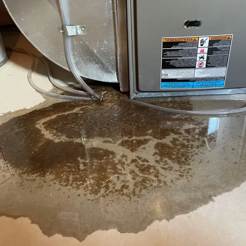Pipe Burst and Leak Restoration in Washington Park, FL