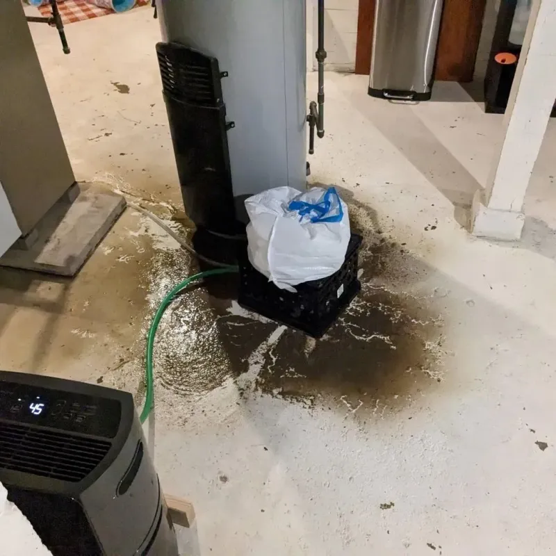 Sewage Backup Cleanup Service in Washington Park, FL
